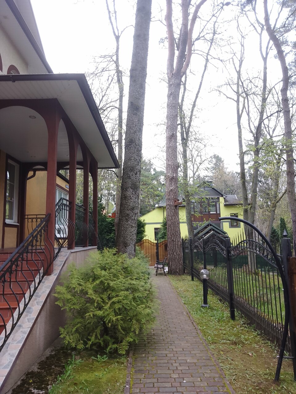 Гостиница Фламинго Светлогорск-232