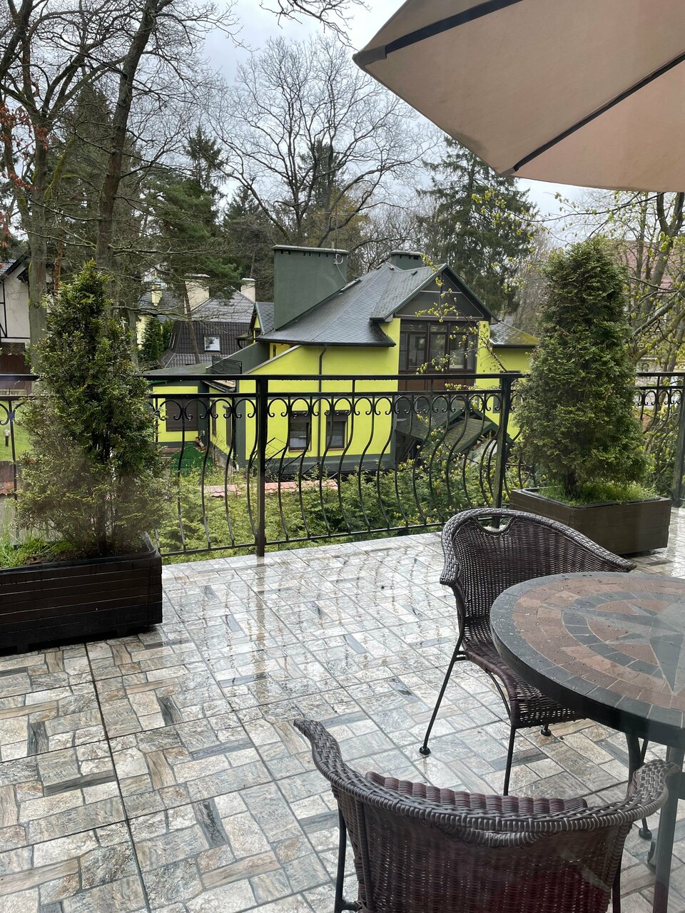 Гостиница Фламинго Светлогорск-195