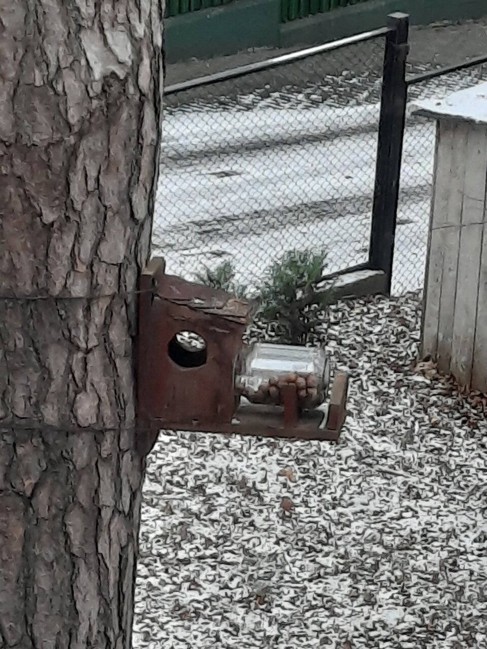 Гостиница Фламинго Светлогорск-231