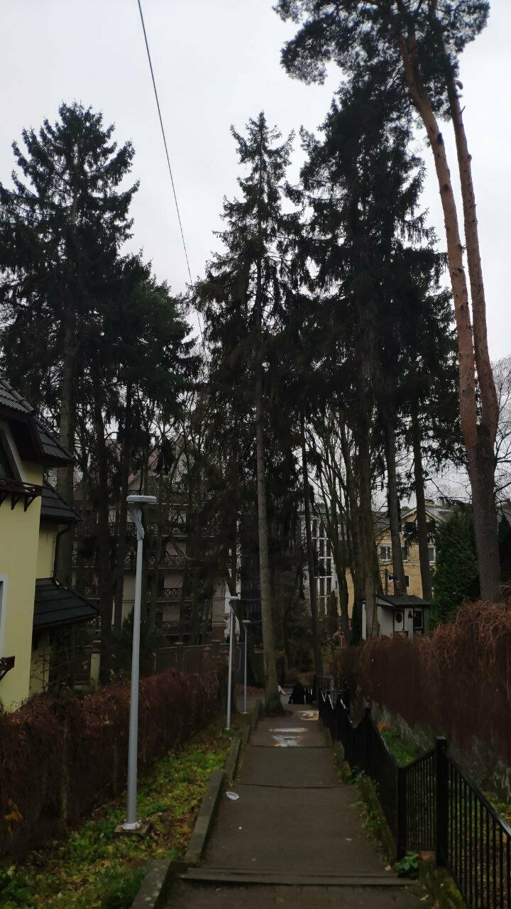 Гостиница Фламинго Светлогорск-243