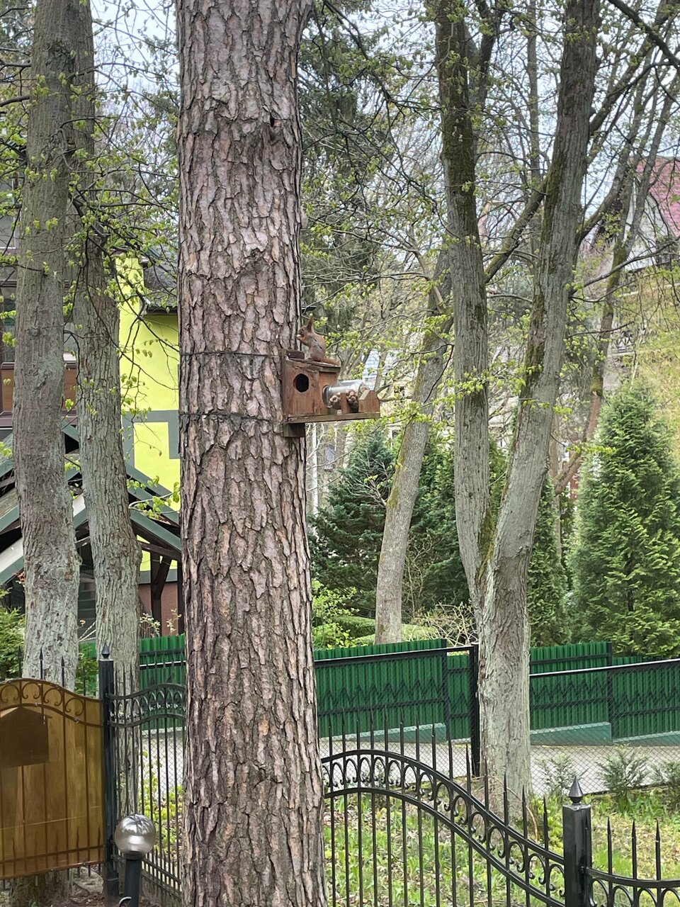 Гостиница Фламинго Светлогорск-198