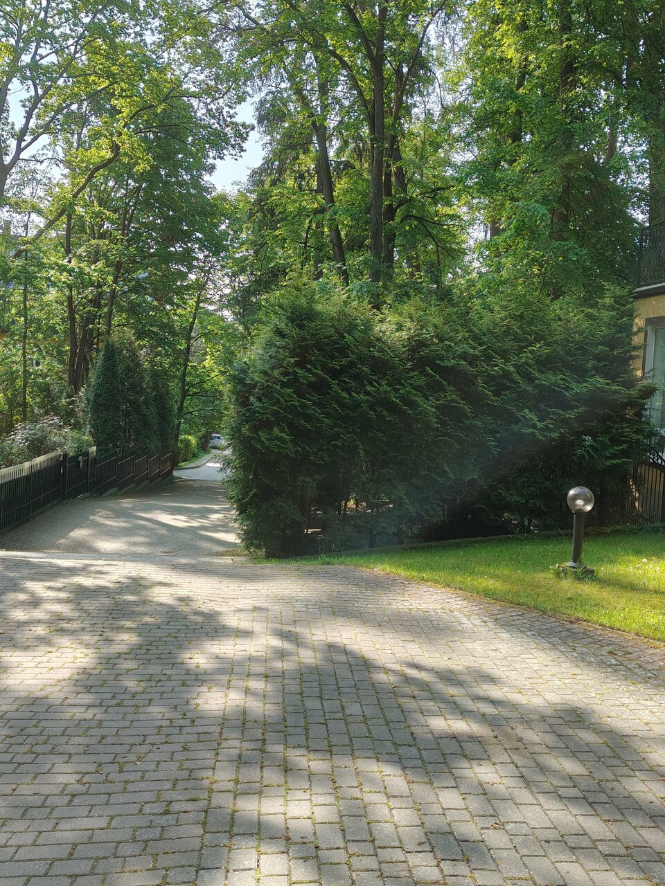 Гостиница Фламинго Светлогорск-219