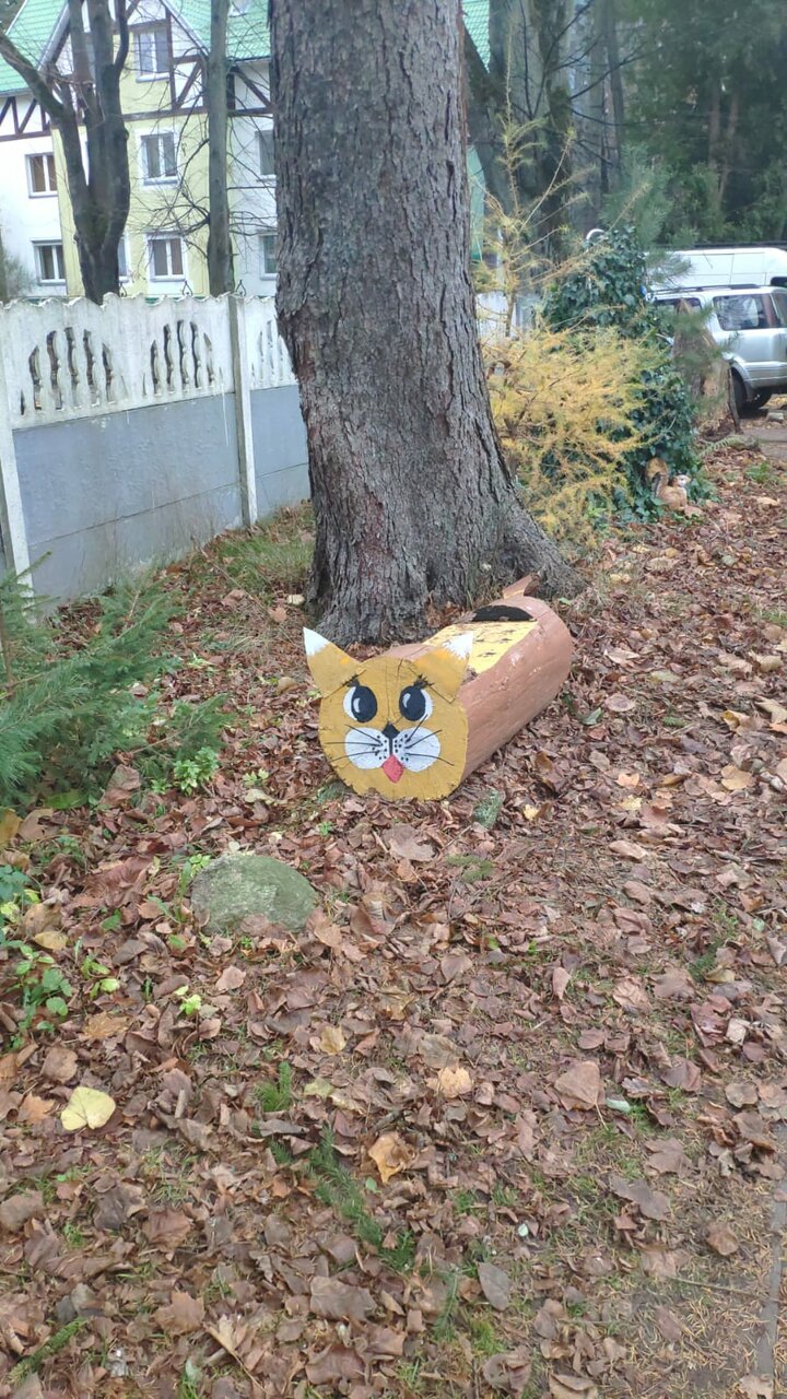 Гостиница Фламинго Светлогорск-174