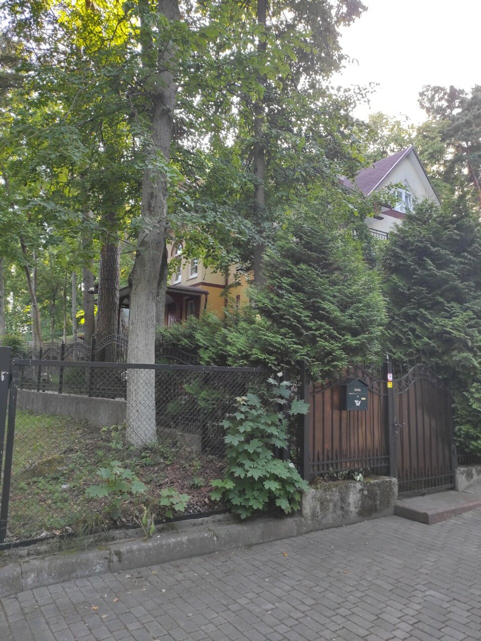 Гостиница Фламинго Светлогорск-86