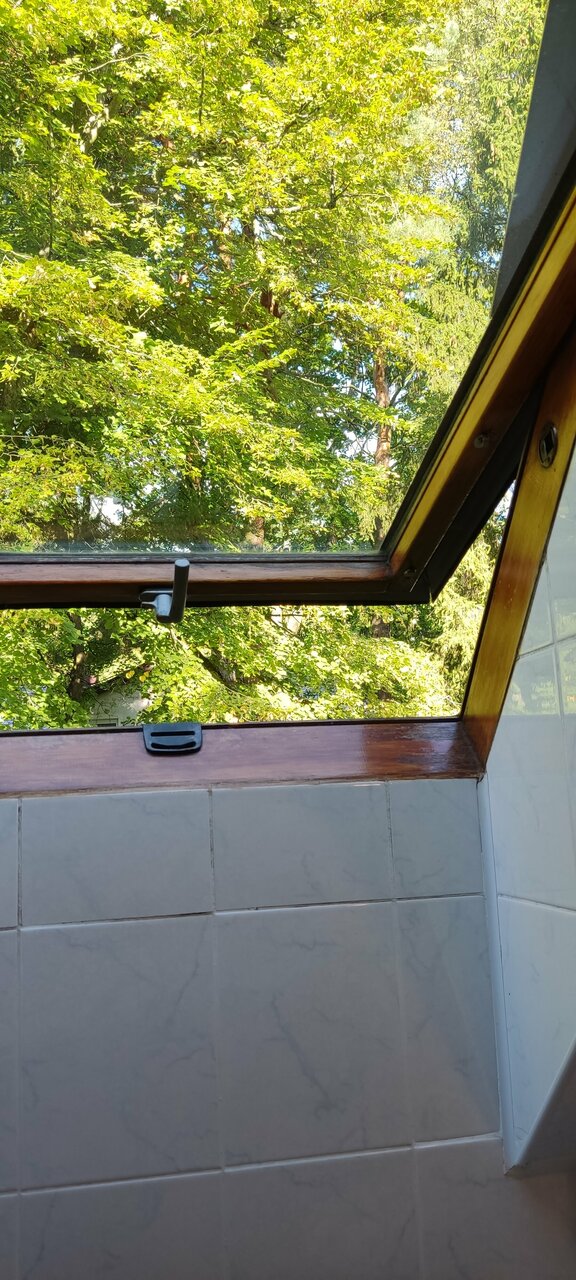 Гостиница Фламинго Светлогорск-224