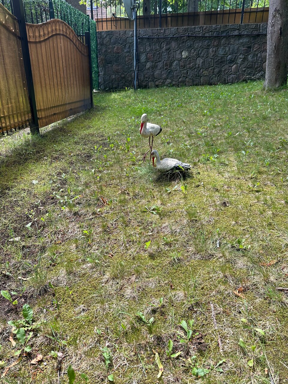 Гостиница Фламинго Светлогорск-165