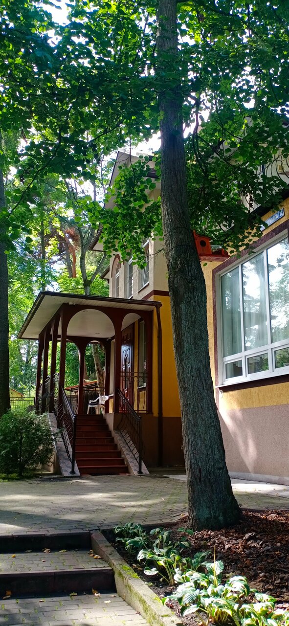 Гостиница Фламинго Светлогорск-245