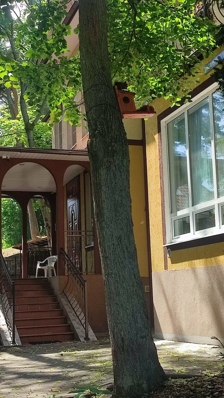 Гостиница Фламинго Светлогорск-225