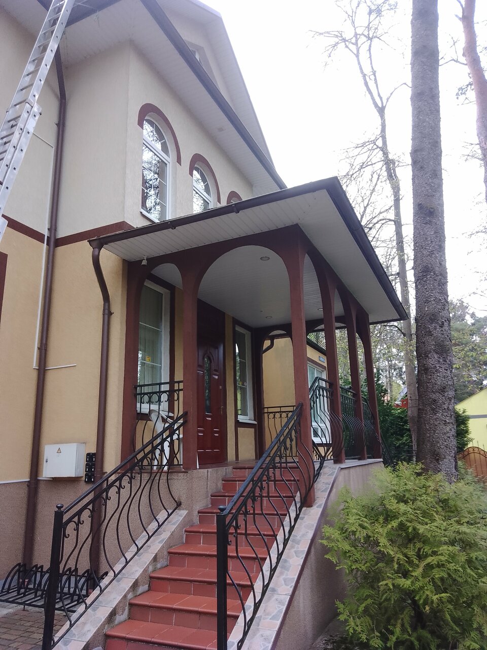 Гостиница Фламинго Светлогорск-242