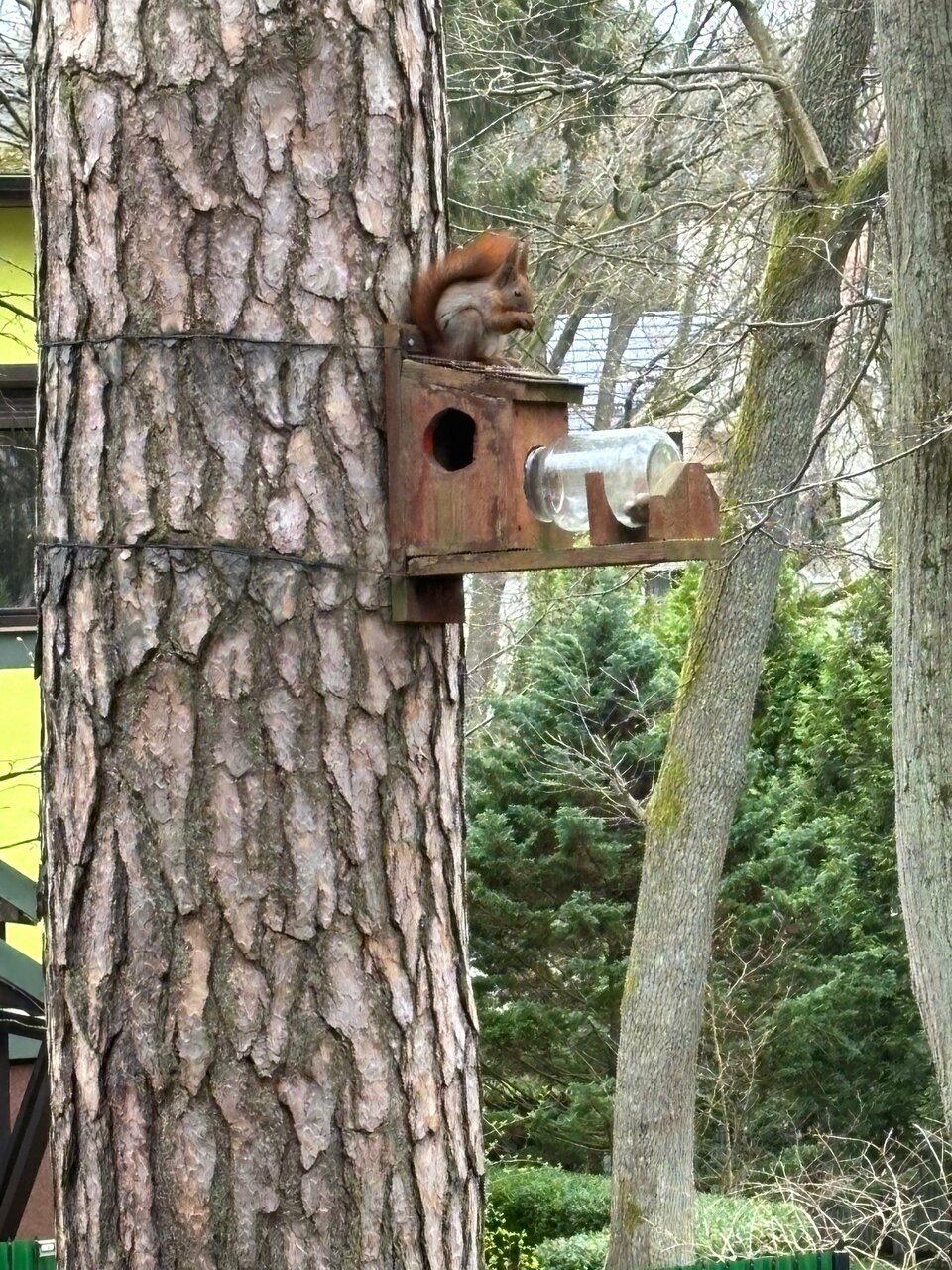 Гостиница Фламинго Светлогорск-247