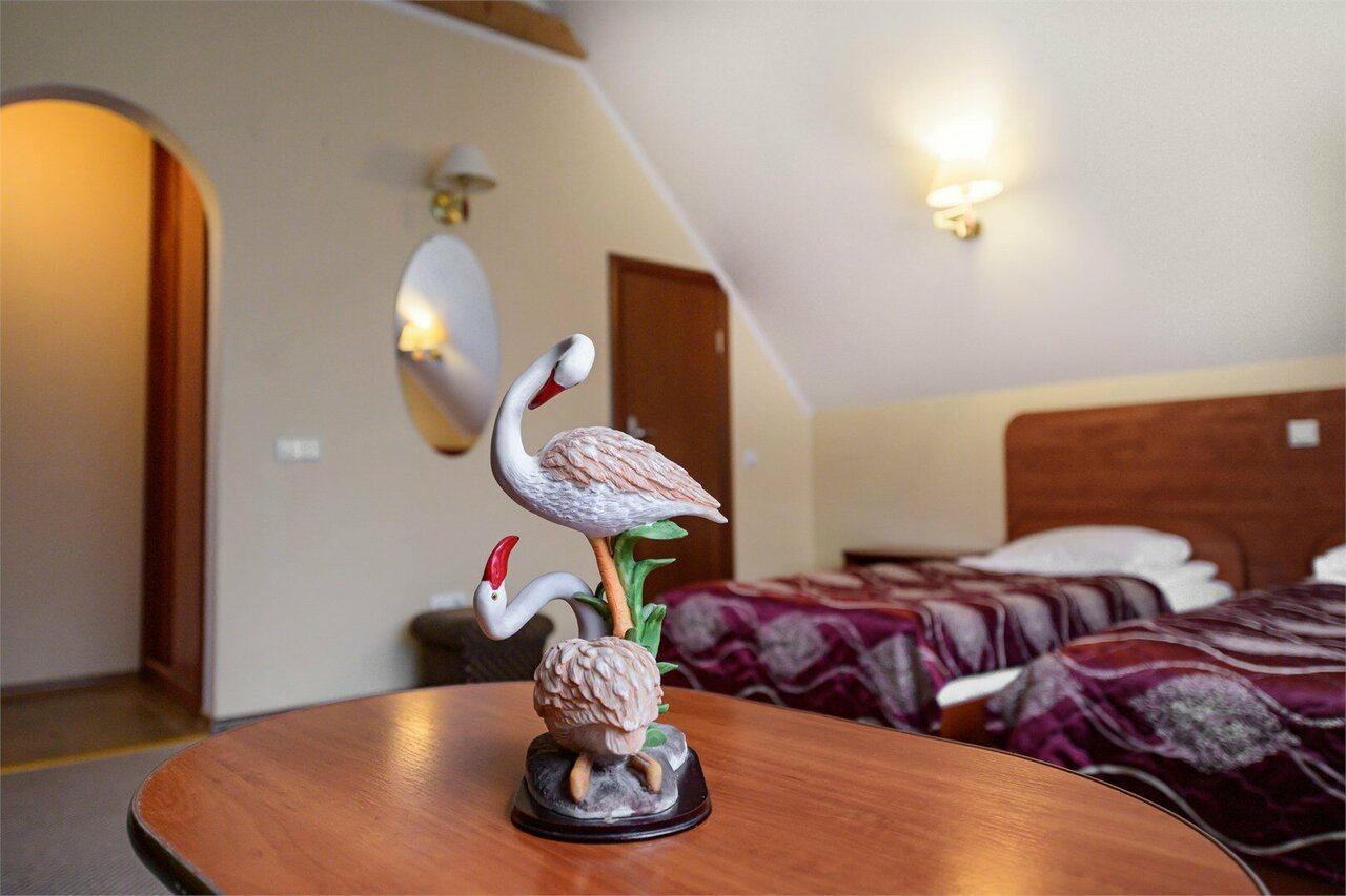 Гостиница Фламинго Светлогорск