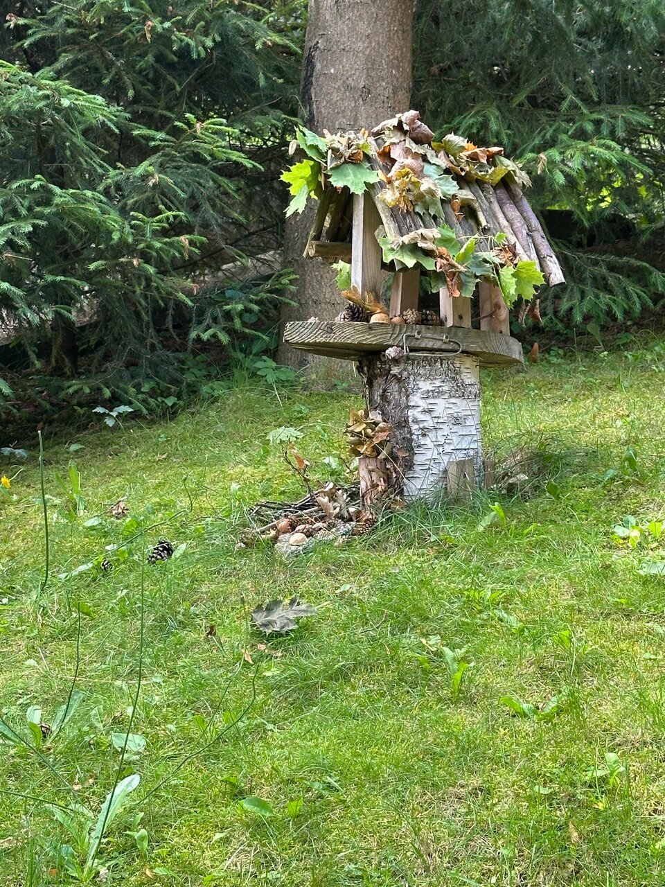 Гостиница Фламинго Светлогорск-183