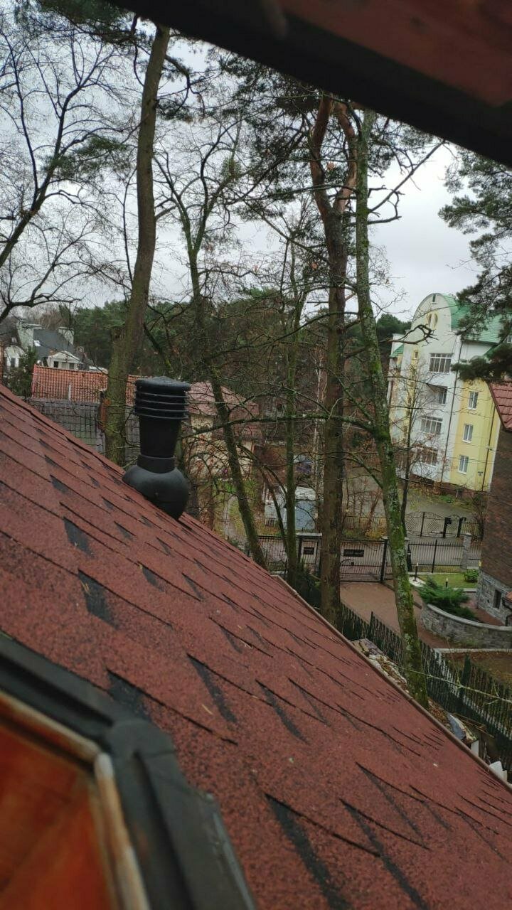 Гостиница Фламинго Светлогорск-214