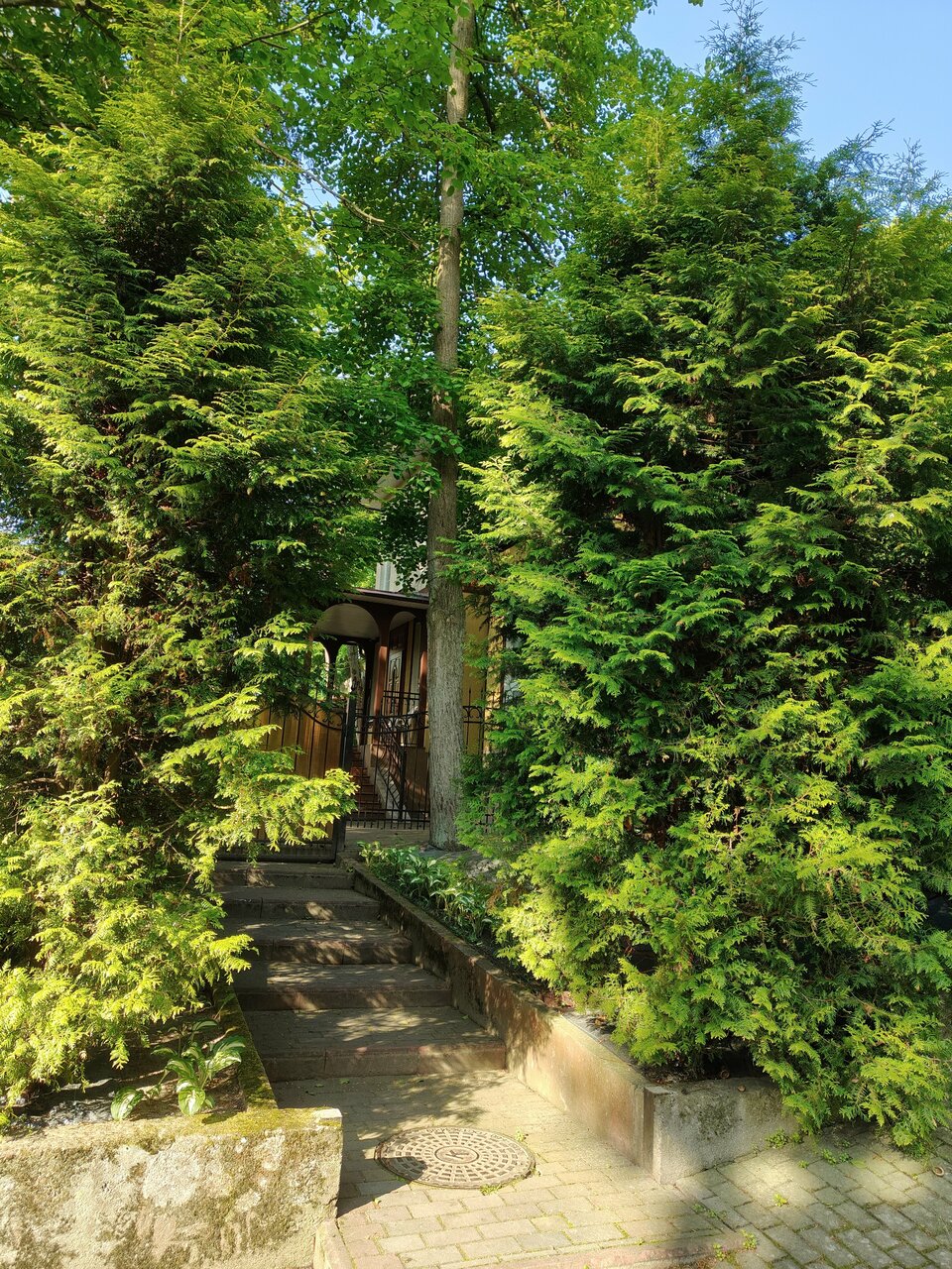 Гостиница Фламинго Светлогорск-187