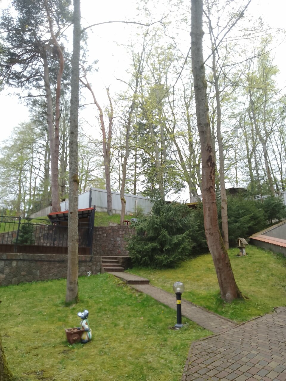 Гостиница Фламинго Светлогорск-241