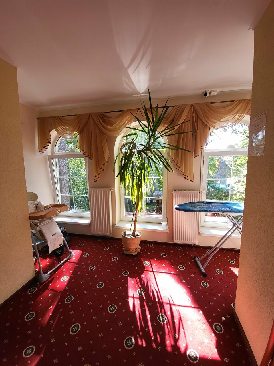 Гостиница Фламинго Светлогорск-185