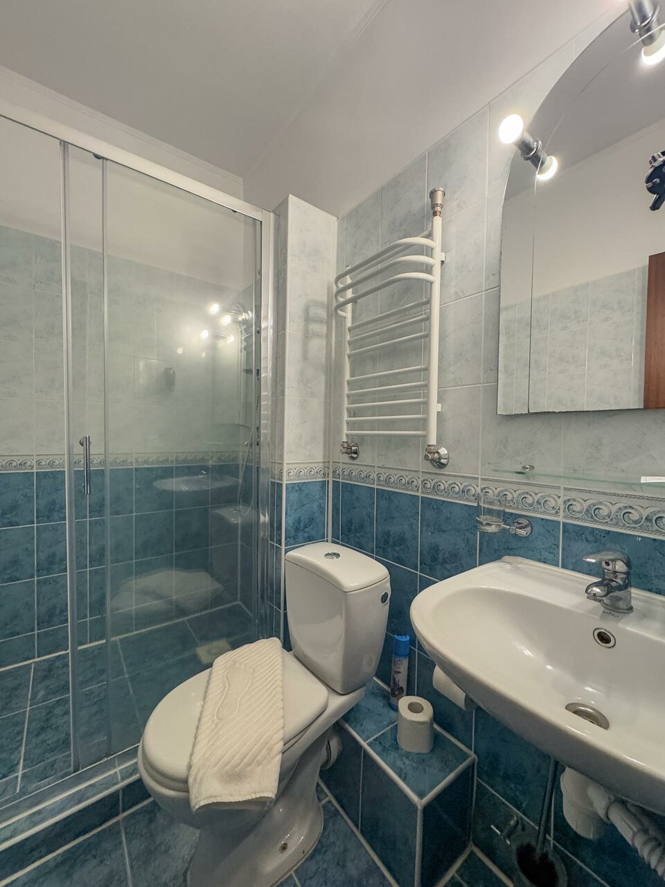 Гостиница Фламинго Светлогорск-101