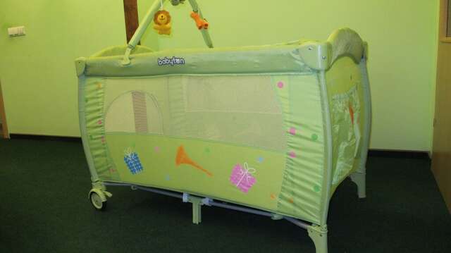 Гостиница Фламинго Светлогорск-28