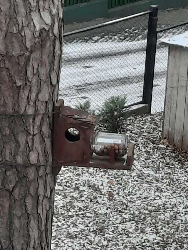 Гостиница Фламинго Светлогорск-230