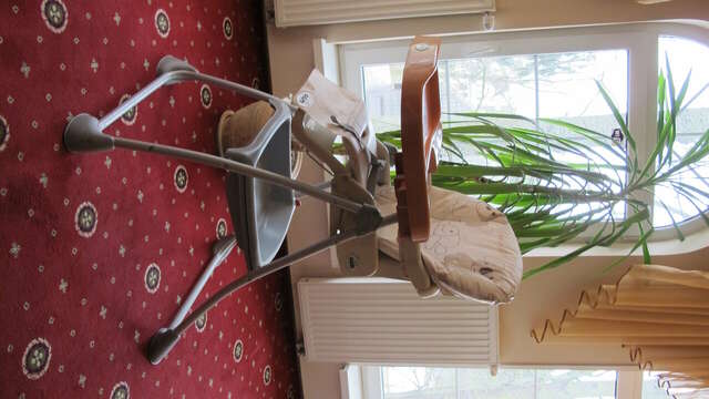 Гостиница Фламинго Светлогорск-33