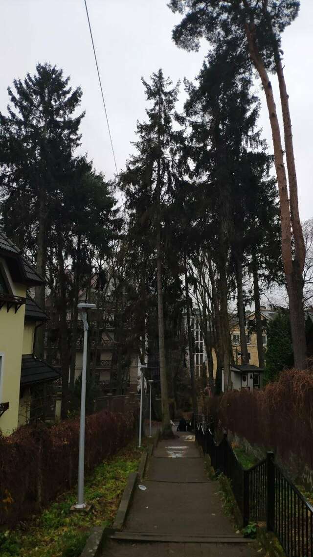 Гостиница Фламинго Светлогорск-242