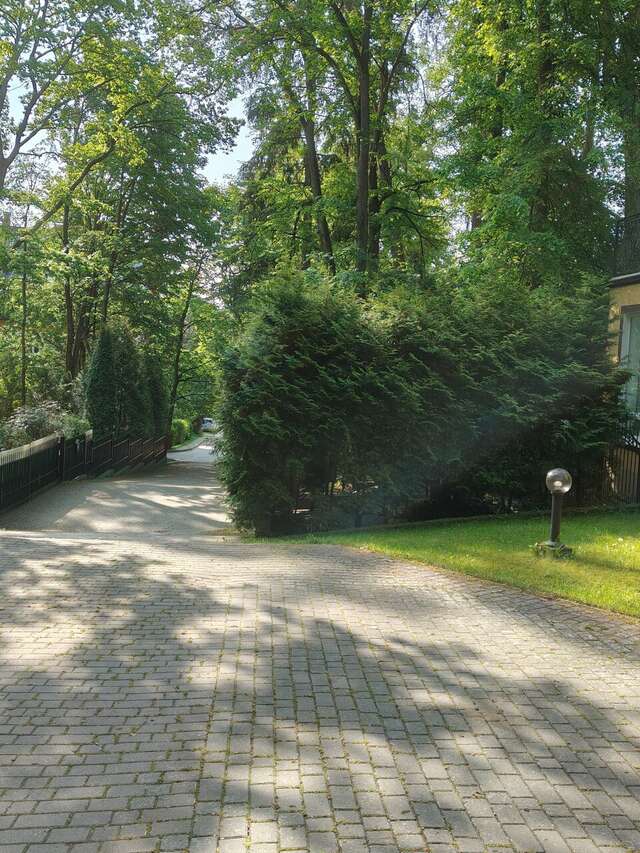 Гостиница Фламинго Светлогорск-218