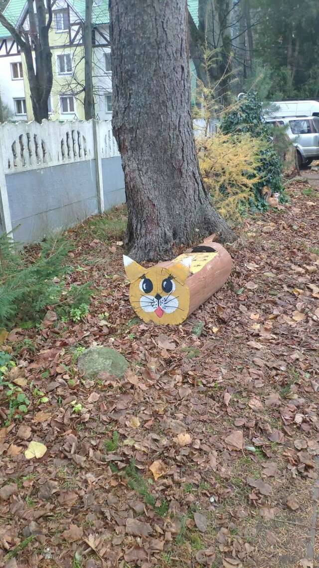 Гостиница Фламинго Светлогорск-173