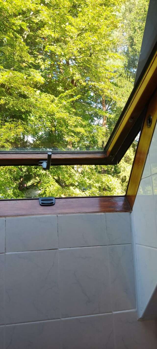 Гостиница Фламинго Светлогорск-223