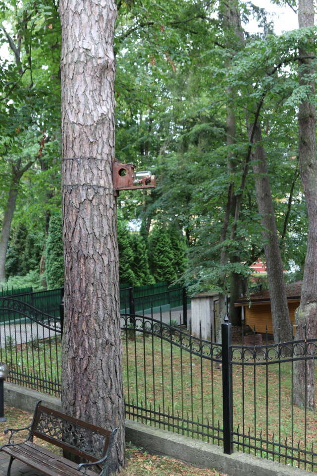 Гостиница Фламинго Светлогорск-229