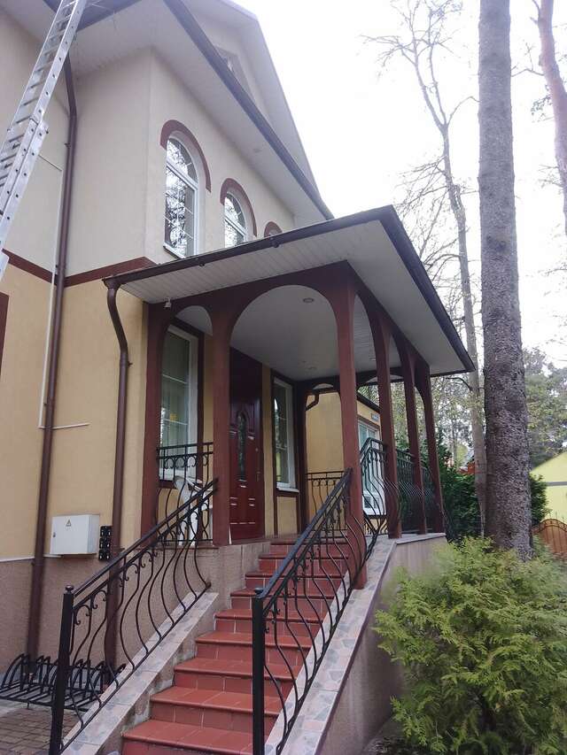 Гостиница Фламинго Светлогорск-241