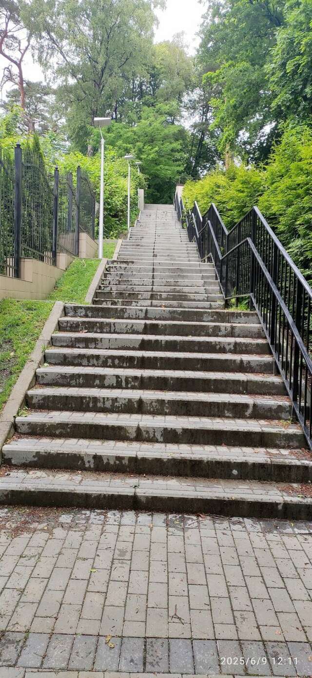 Гостиница Фламинго Светлогорск-188