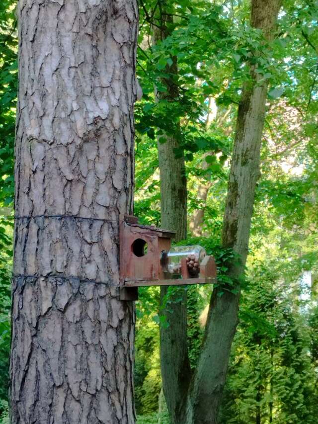 Гостиница Фламинго Светлогорск-239