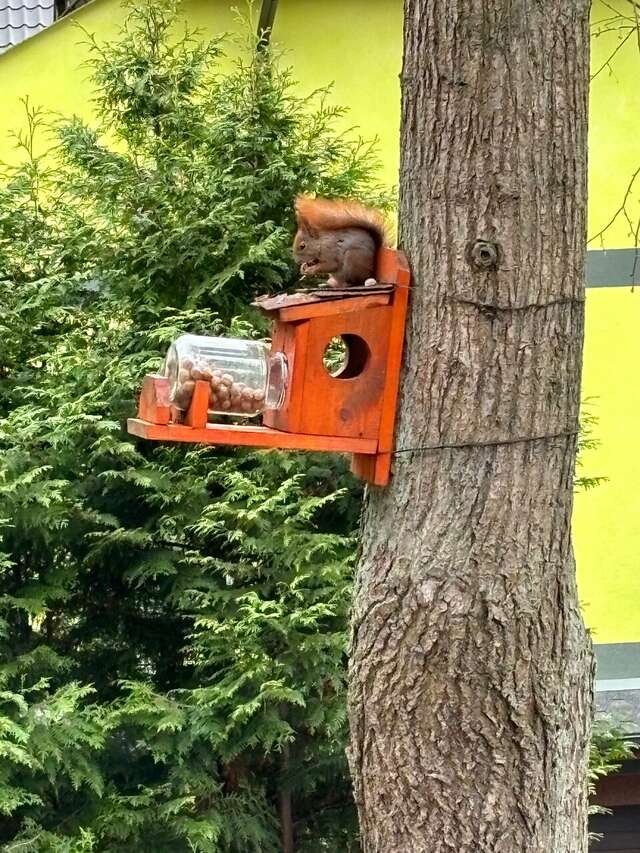 Гостиница Фламинго Светлогорск-166