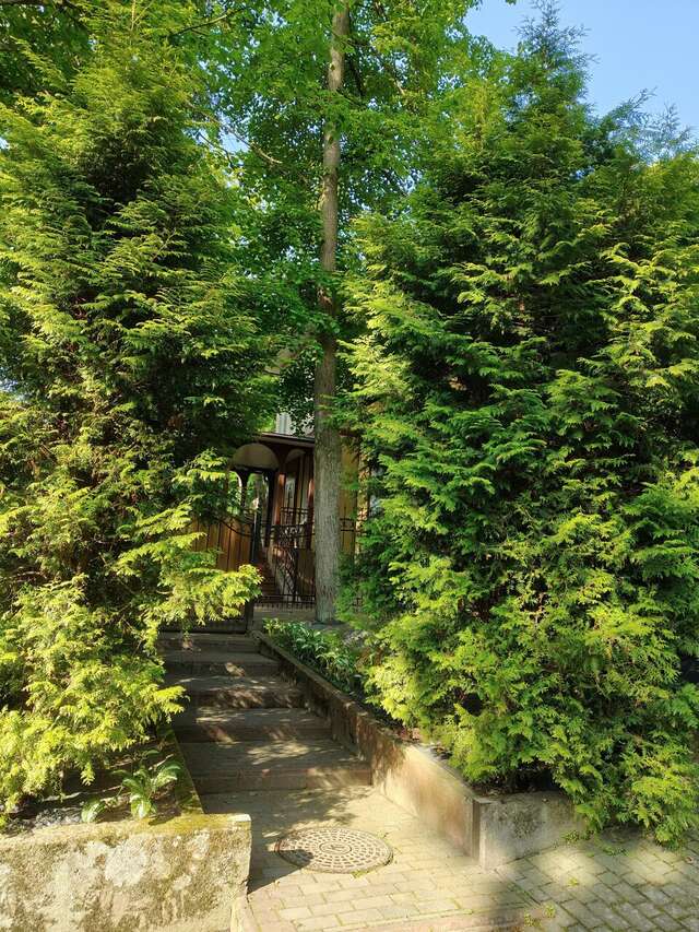 Гостиница Фламинго Светлогорск-186