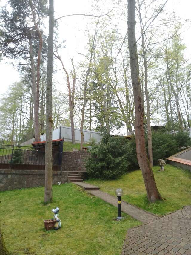 Гостиница Фламинго Светлогорск-240