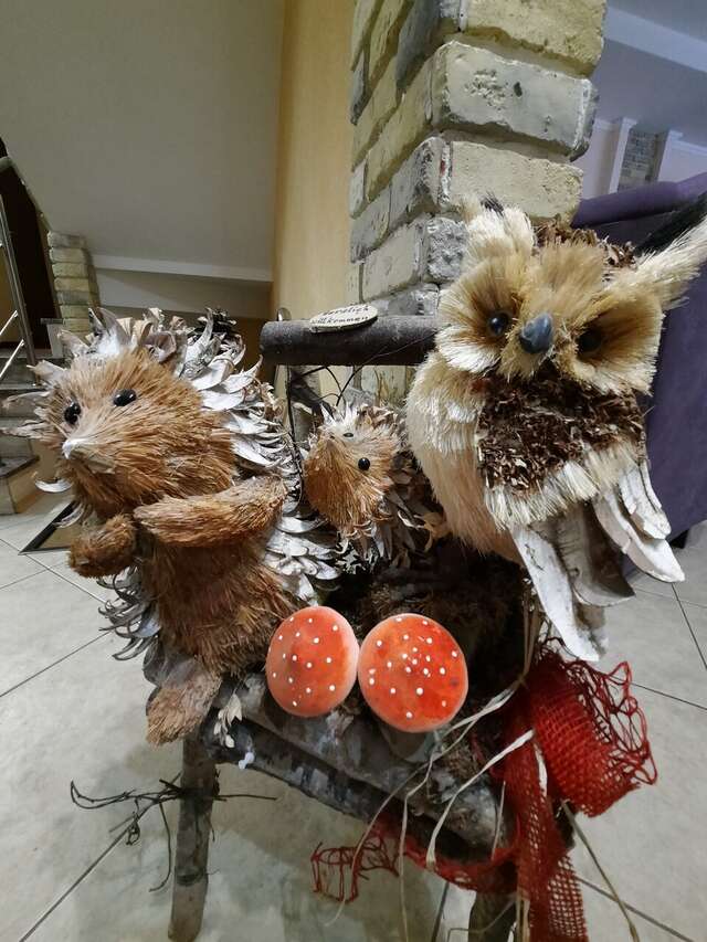 Гостиница Фламинго Светлогорск-236