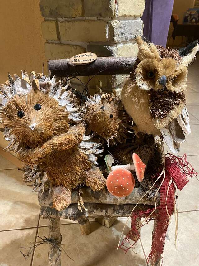 Гостиница Фламинго Светлогорск-176